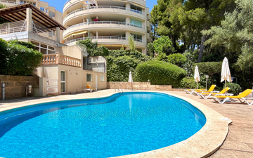 Property slide 29