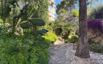 Property slide 19