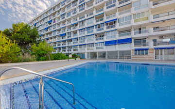 Property slide 13