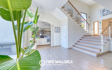 Property slide 29