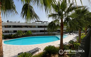 Property slide 19