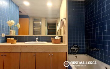 Property slide 13