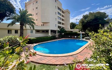 Property slide 19