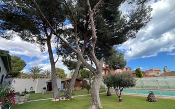 Property slide 26