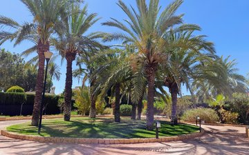 Diapositive de propriété 20