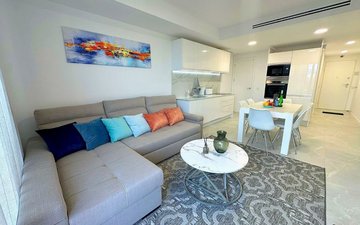 Property slide 13