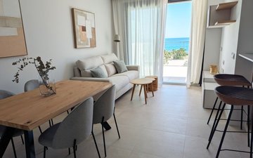 Property slide 8