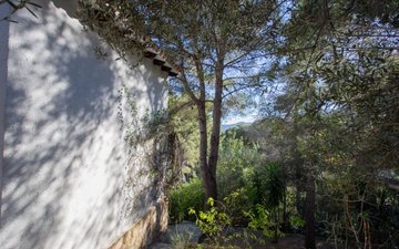 Property slide 30