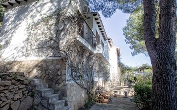 Property slide 31