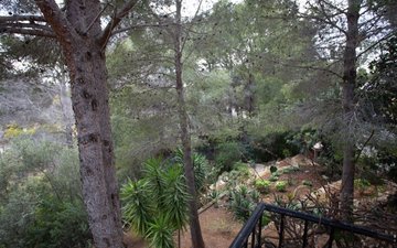 Property slide 36