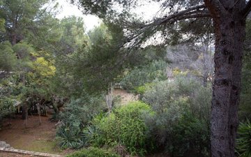 Property slide 37