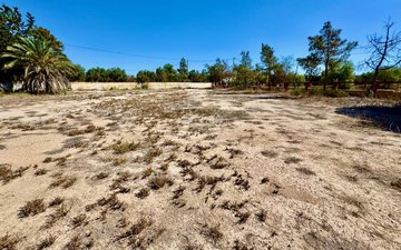 Property slide 43