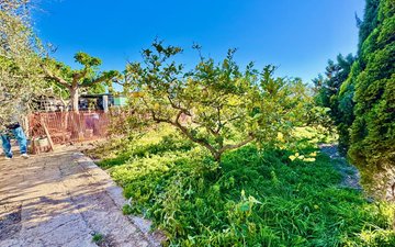 Property slide 31
