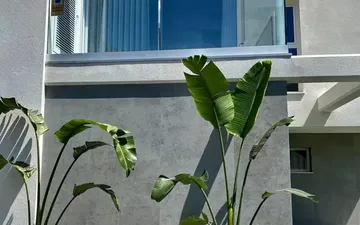 Property slide 5