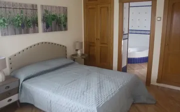 Property slide 11