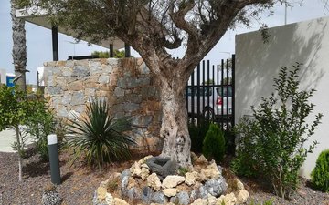 Property slide 21