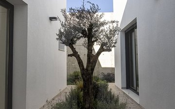 Property slide 11