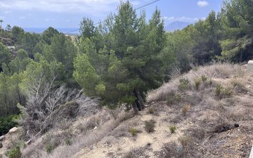 Property slide 23