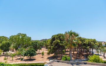 Property slide 11
