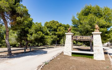 Property slide 50