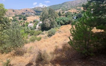 Property slide 15