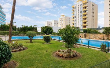 Property slide 13