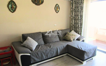 Property slide 11