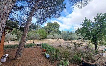 Property slide 23