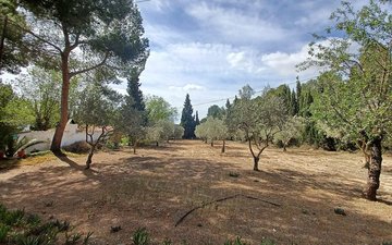 Property slide 22