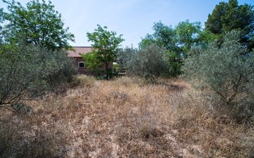 Property slide 50