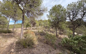 Property slide 37