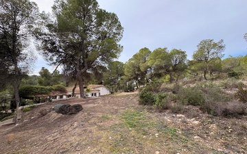 Property slide 36