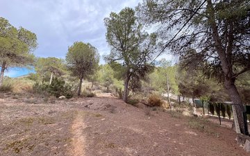 Property slide 38