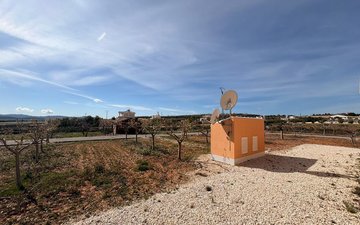 Property slide 13