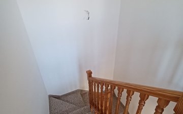 Property slide 30