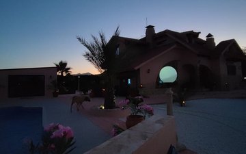 Property slide 46