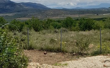 Property slide 41