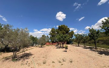 Property slide 10