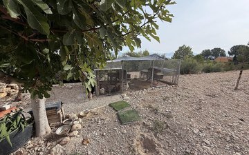 Property slide 15