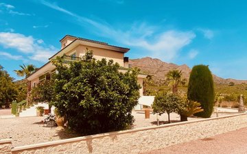 Property slide 41