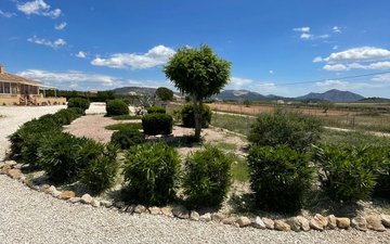Property slide 33