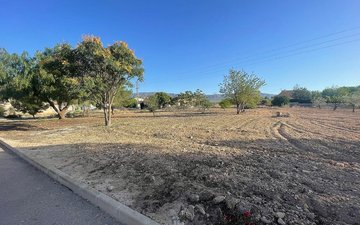 Property slide 10