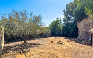 Property slide 43