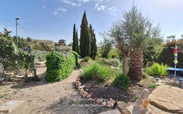 Property slide 31