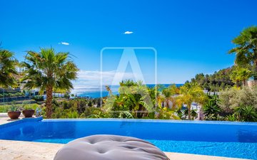 Property slide 17