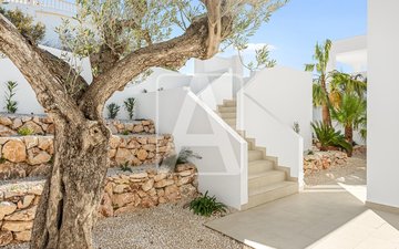 Property slide 12