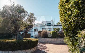 Property slide 43