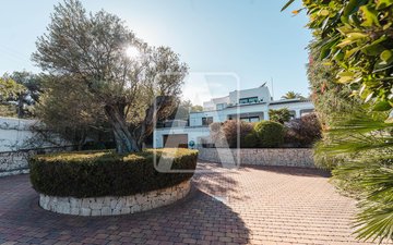 Property slide 44