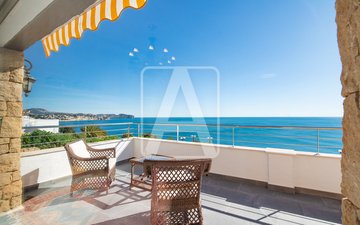 Property slide 43