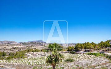 Property slide 46